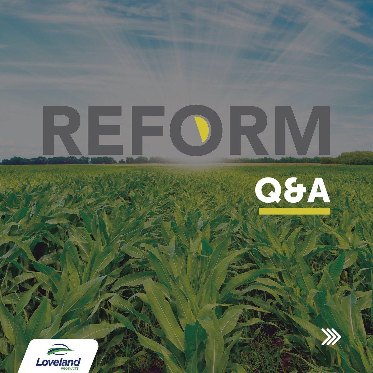 Loveland Products tweet media