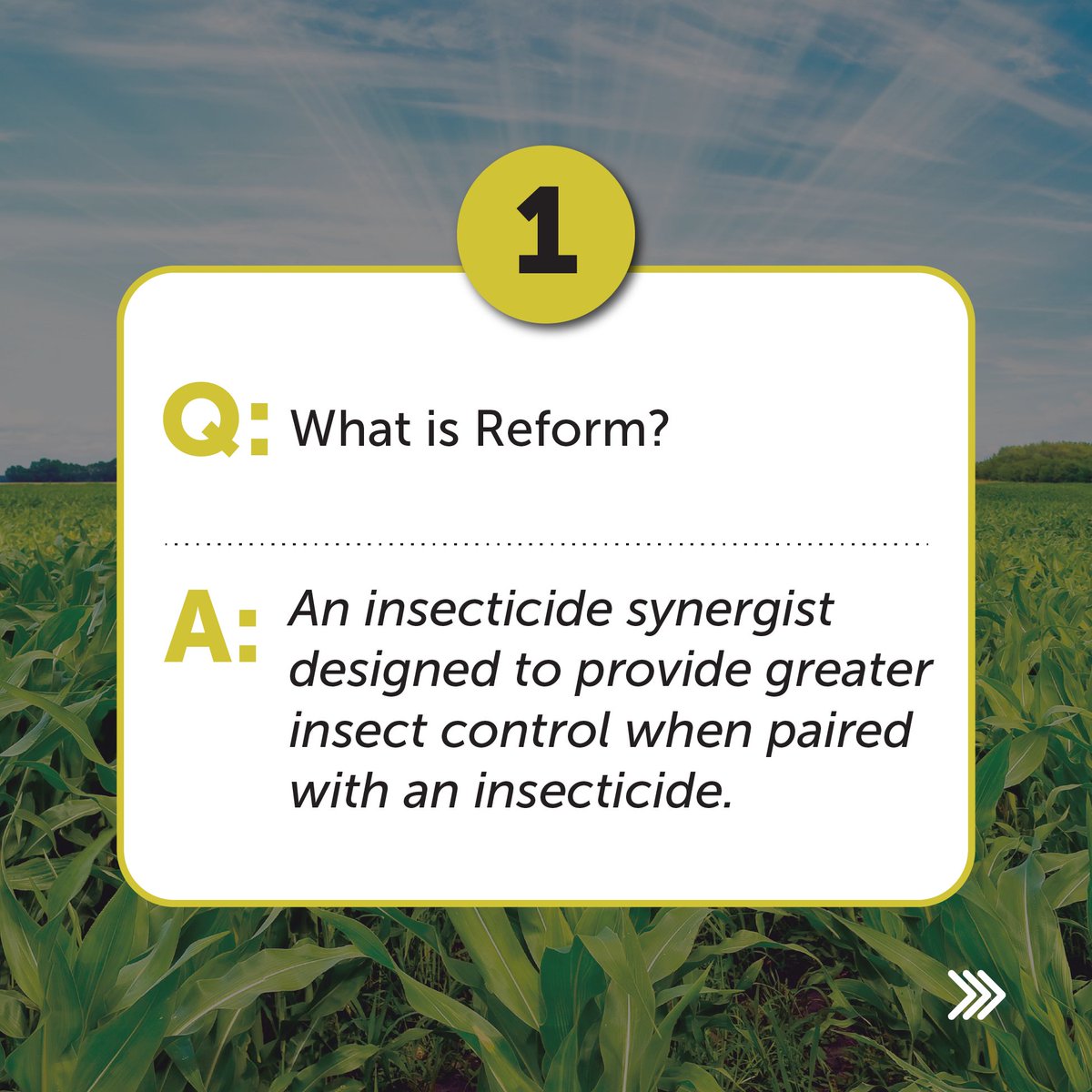 Loveland Products tweet media