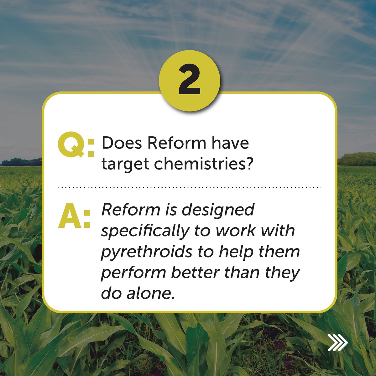 Loveland Products tweet media