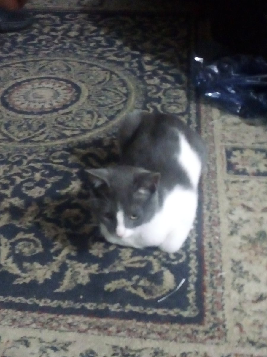 ★Lucy_draws★♪🇻🇪✨♥️ tweet media