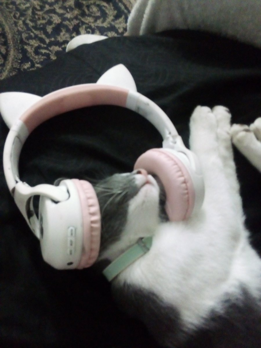 ★Lucy_draws★♪🇻🇪✨♥️ tweet media