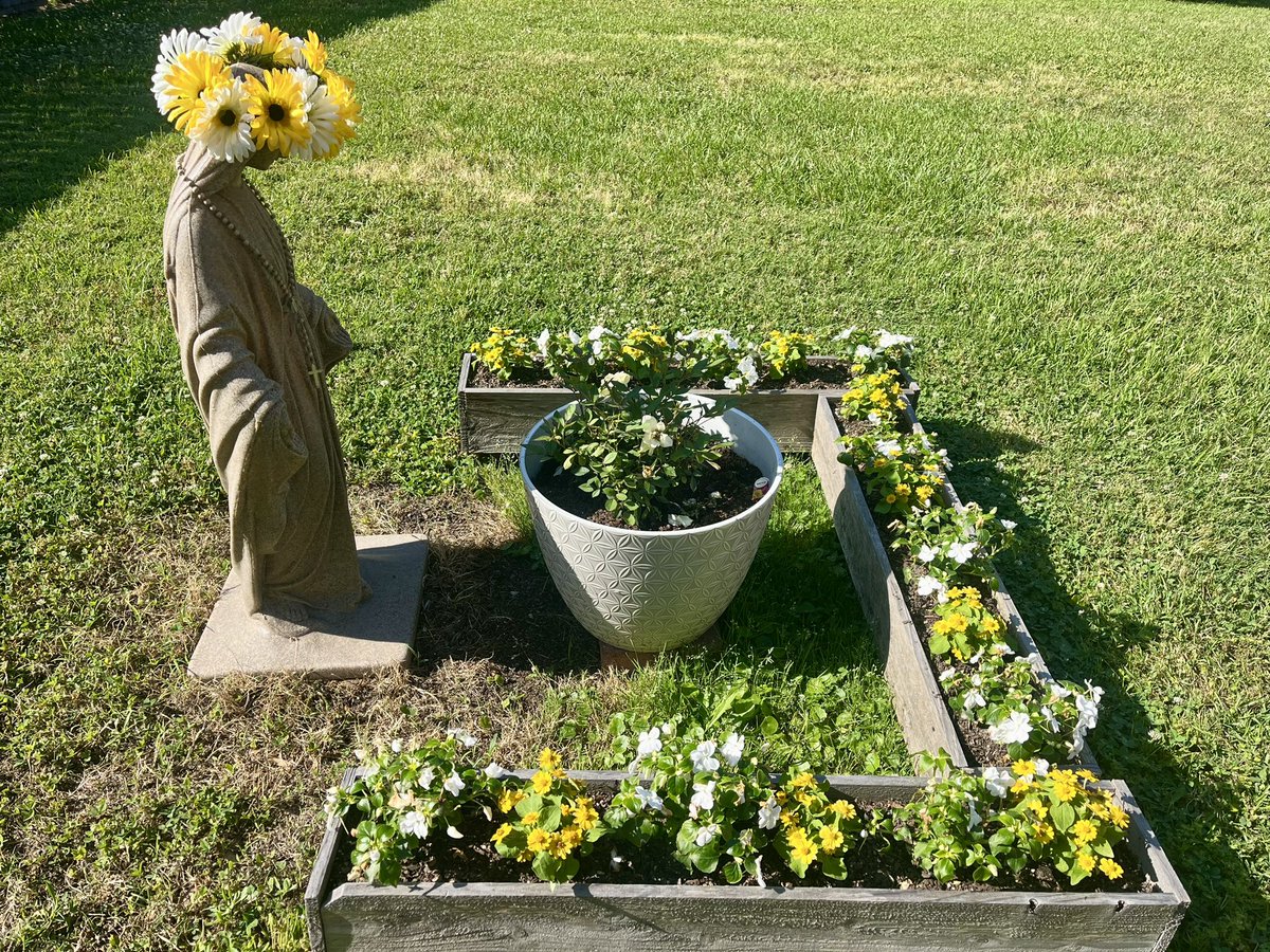 @Kmine4 When my son was accepted into Holy Cross College, I told him I would plant a garden in our backyard to honor our #BlessedMother.  When he gets into #ND, I’m going to build a grotto.