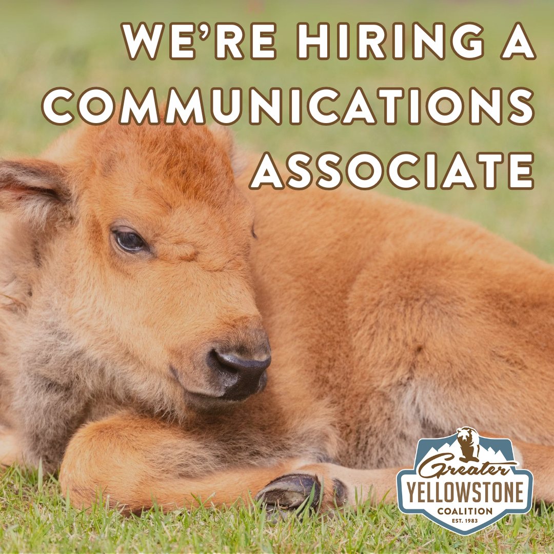 Join our communications and marketing team! Deadline to apply is May 15. greateryellowstone.org/careers