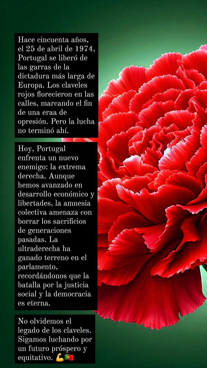 GitFeministas's tweet image. Luchemos por un futuro sin fascismo.
#ClavelesRojos
#25deAbril 
#Portugal