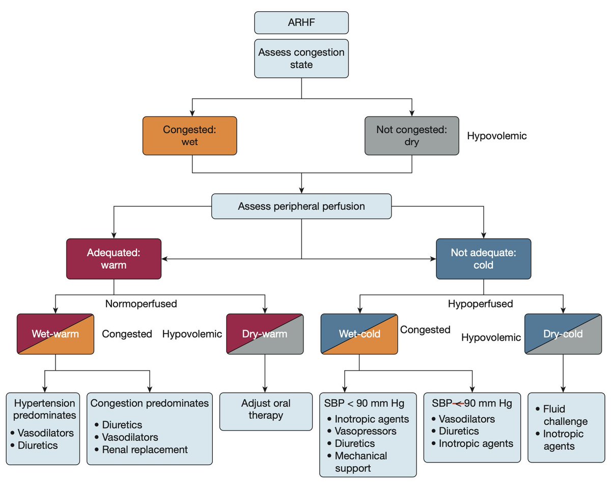 🔴Right Side of the Heart  Involvement in Left-Sided Heart Failure : Diagnostic, Prognostic, and Therapeutic Implications

journal.chestnet.org/article/S0012-…
#MedTwitter #CardioTwitter #ACC2024
 #CardioEd #Cardiology #FOAMed #meded #MedEd #Cardiology #CardioTwitter #cardiotwitter