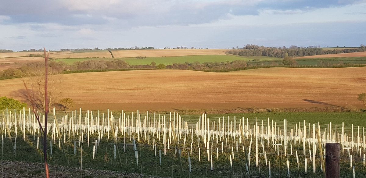 Thank you to <a href="/Lincsruralhelp/">Lincolnshire Rural Support Network</a> for organising a fab farm walk around <a href="/southormsby/">South Ormsby Estate</a> <a href="/FarmerBarney/">Paul Barnes</a> was a great tour guide &amp; his knowledge of organic farming was great. Lots of great conversations with lovely people about gin &amp; <a href="/LRAChaplains/">Lincolnshire Rural and Agricultural Chaplaincy</a> #Lincolnshire