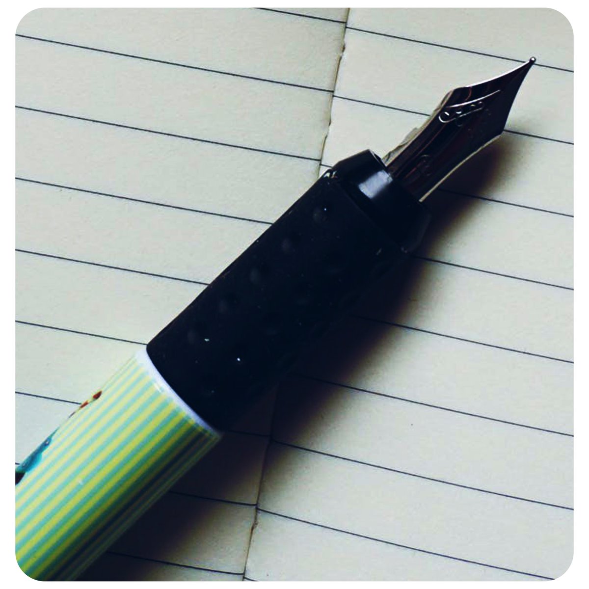 Purple Orchid Publishing tweet media