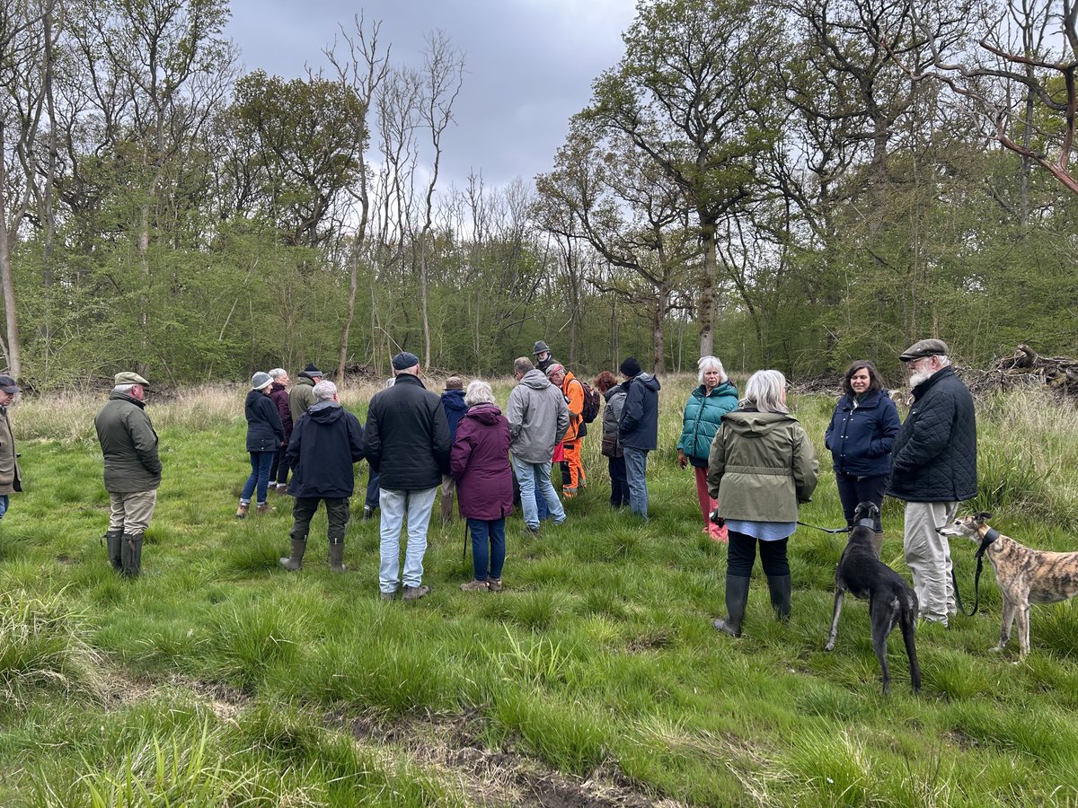 I spent the afternoon today leading a woodland walk on behalf of a long term client in Cambridgeshire. The time was spent informing the local community about the future ash dieback management work in the SSSI. The botanist that joined the group found amongst others, herb-paris.