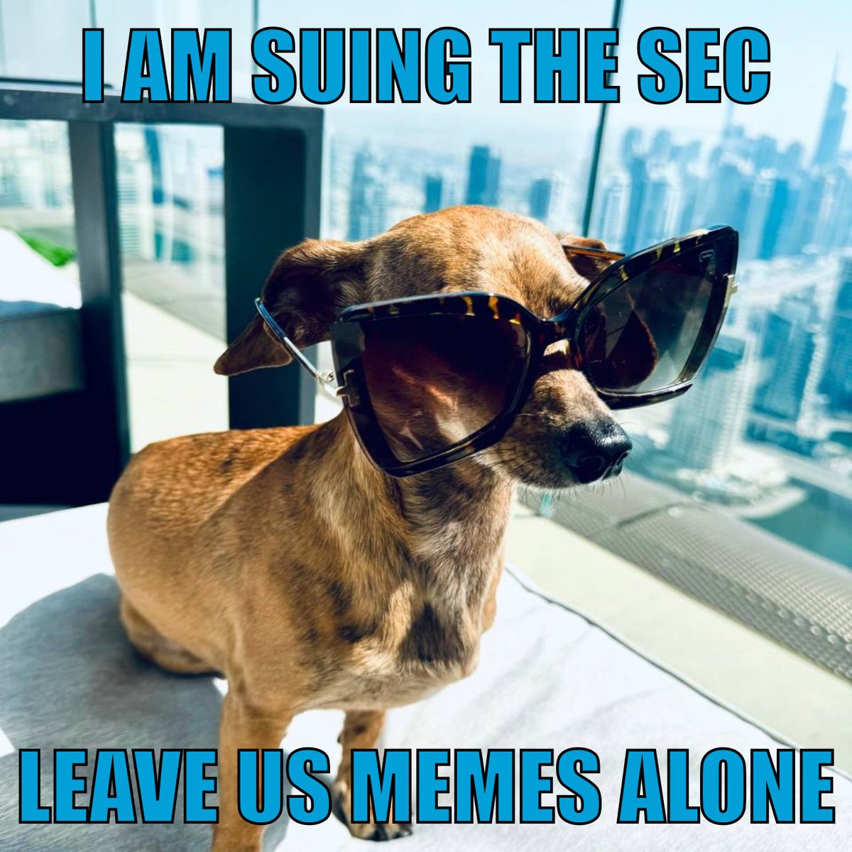 Today we sued the #SEC. First meme to do it, unless you consider #XRP a  meme.