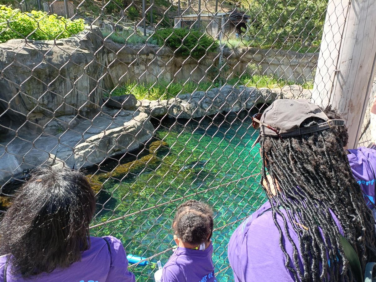 ProjectPlaytime's tweet image. Playtime takes every opportunity to expose children in our programs to new experiences with field trips. Did you know $500 covers the cost of transport for 1 trip? A gift to the #SpringCampaign would help reach our $60k goal by 5/15! bit.ly/springcampaign… #SpringIntoPlaytime