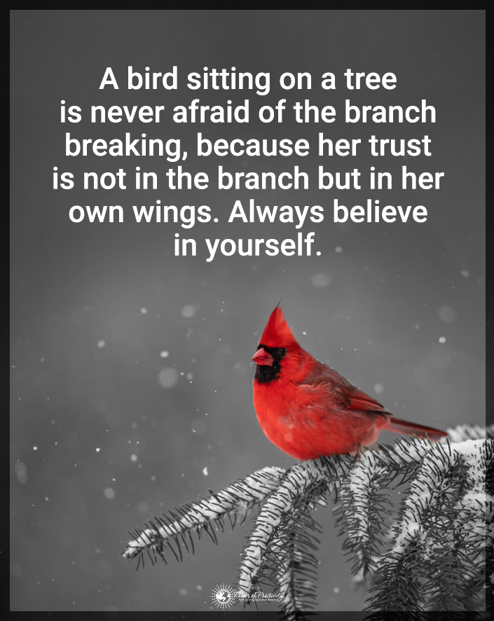 “A bird sitting on a tree is never afraid of…”