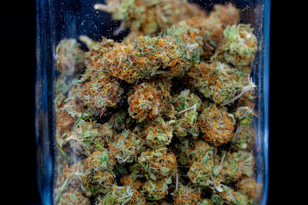 bsf_seeds's tweet photo. La verdadera esencia del cannabis. 🌿🔥 #BSFSeeds https://t.co/zLR8W01OBa