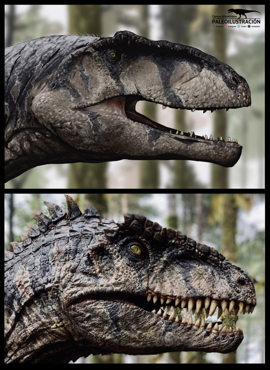 Jurassic World: Dominion - Giganotosaurus carolinii científicamente correcto.

Usé esta foto del animatronic, mismo color, misma iluminación y mismo fondo, pero con el toque mágico de la ciencia y no de la ciencia ficción.

#jurassicworlddominion #giganotosaurus