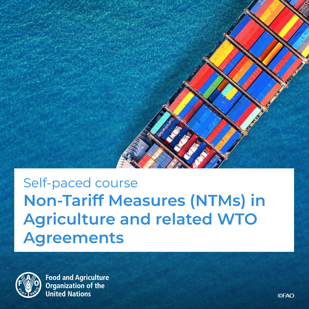 🎓 FREE self-paced course! Non-Tariff Measures (NTMs) in Agriculture and related WTO Agreements 📑🖊️ Understand the different trade policy instruments, the multilateral trade system and the development of mega trade agreements Enroll! ➡️ ow.ly/QzvP50QMxsn @FAOCampus