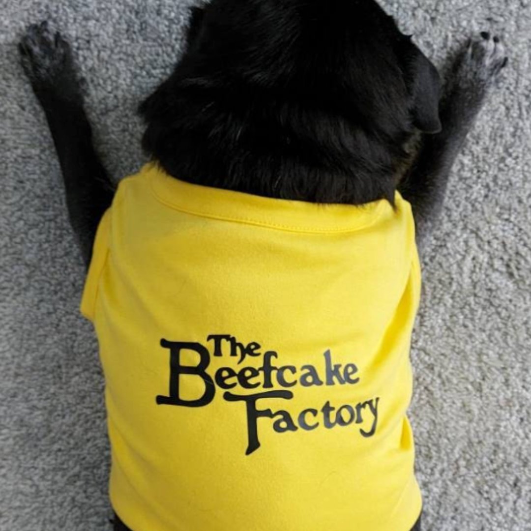 lovelightpaws's tweet image. Something for everyone. 🧀

#funnydogshirt #pugsofinstagram