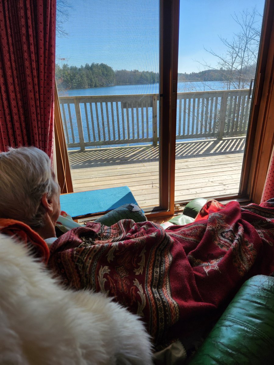 A Room with a View. Views that see spectacular sunrises &amp; sunsets but also the quiet life of the loons on the lake, the muskrat going out for an evening swim  &amp; all sorts of vibrant natural life living as it should.