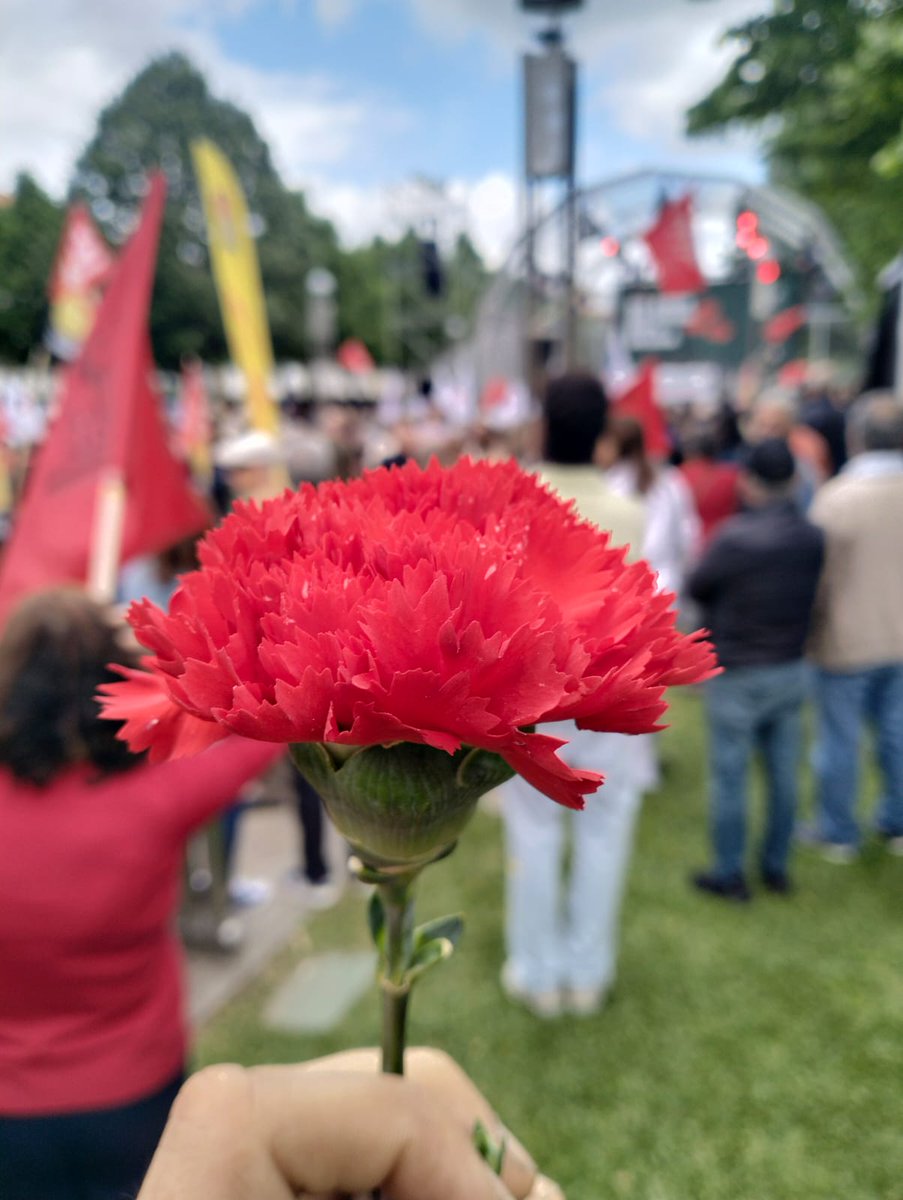 Os Verdes tweet media