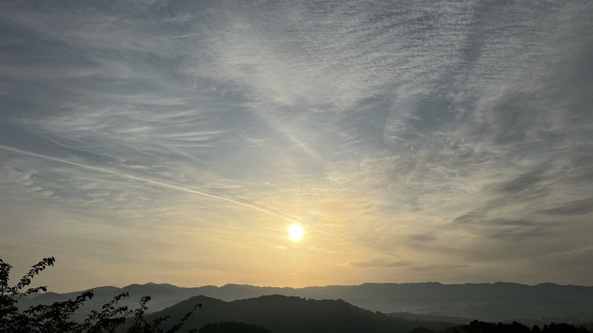 朝は散歩。普通という奇跡。