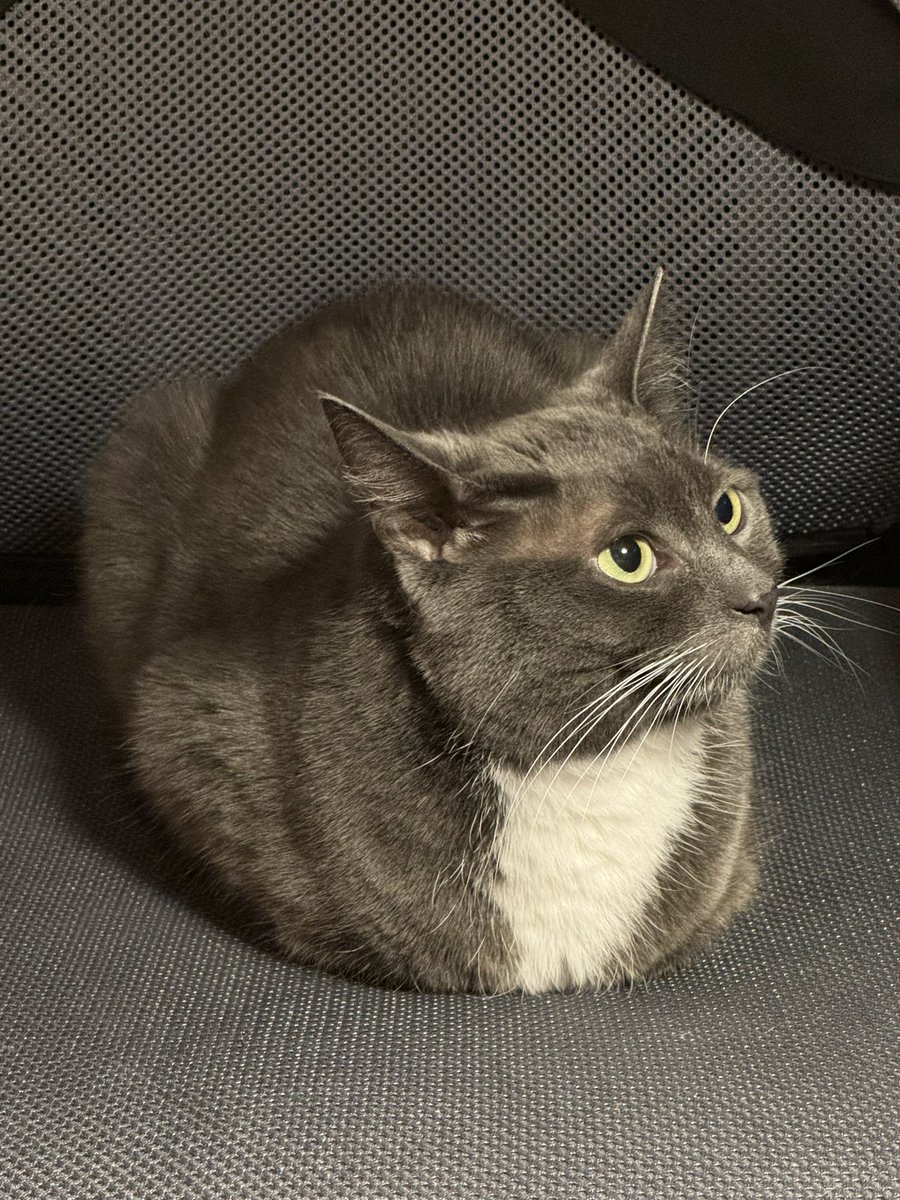 Fresh loaf available now
