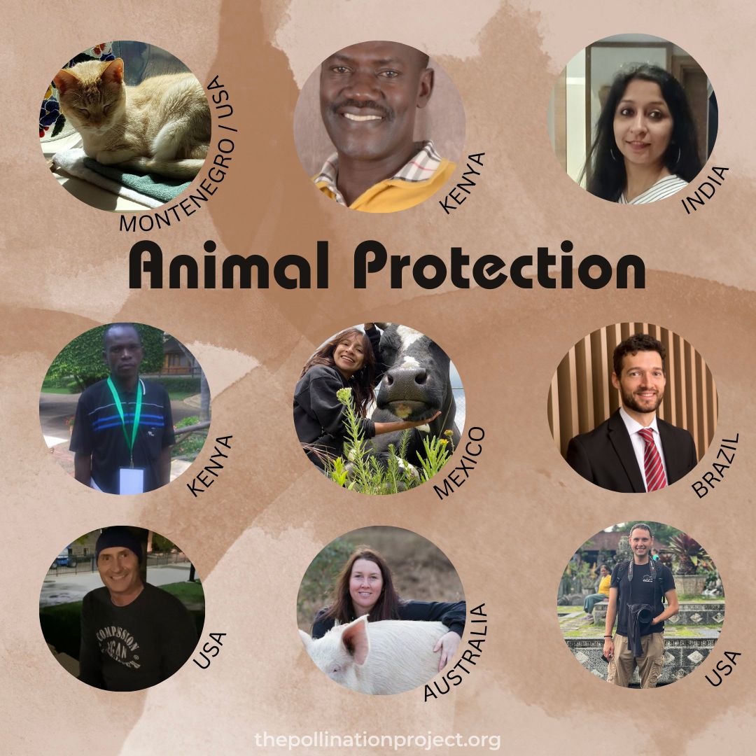 🌟 Volunteer Week 🌟  Celebrating our family of Grant Advisors!

Today we celebrate our grant advisors dedicated to #AnimalProtection.

#AnimalRights #Animalactivist #advisor #volunteerweek #volunteer #grants
