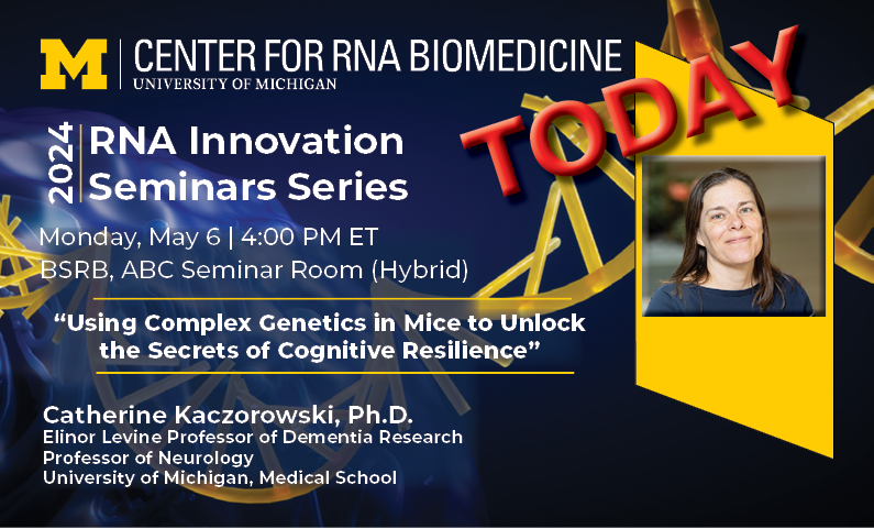 TODAY! Monday, May 6, 4 PM #RNA Innovation Seminar Series: Catherine Kaczorowski, Ph.D. @UMichMedSchool kaczorowski.lab.medicine.umich.edu/home “Using Complex Genetics in Mice to Unlock the Secrets of Cognitive Resilience” BSRB, Zoom umich.zoom.us/webinar/regist… @KaczorowskiLab #UMichRNA #UMichRNATx