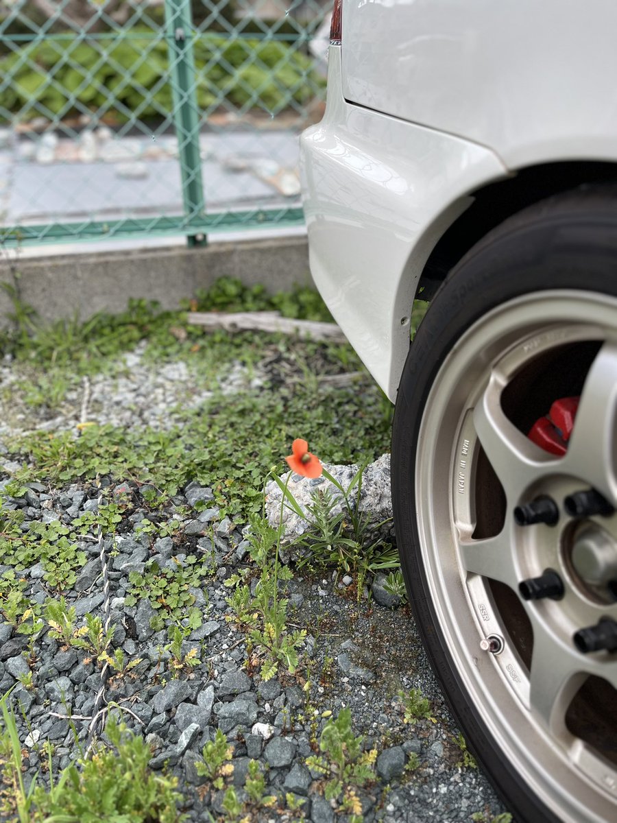 少し前に会社の駐車場で一華
さぁて、明日から連休入るので、愛車磨いてお出かけするぞー♪