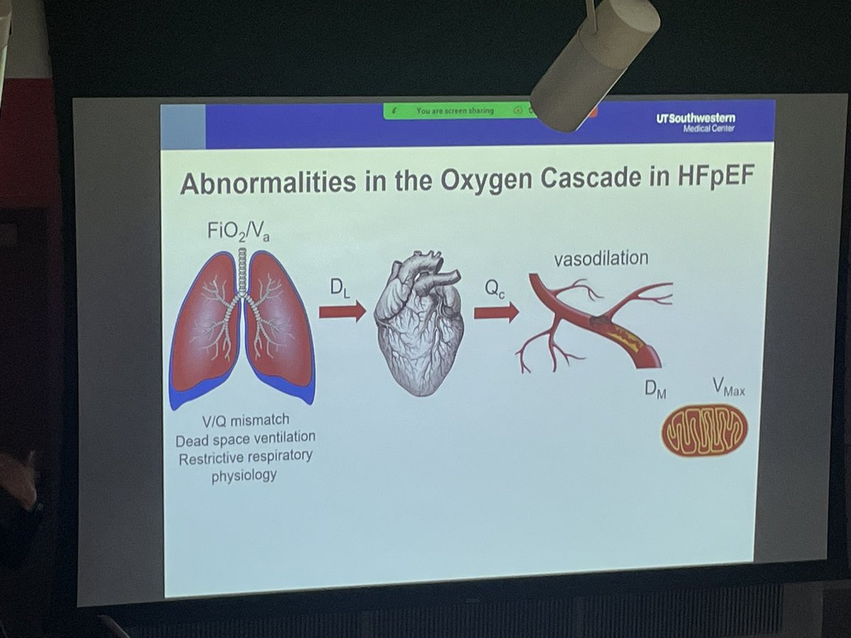Tom Sarma @UTSWMedCenter giving great visiting cardiology grand rounds on HFpEF physiology and the multi-organ failure and treatment pathways. @DukeHeartCenter @FudimMarat @Nishant_ShahMD @jennifer_rymer