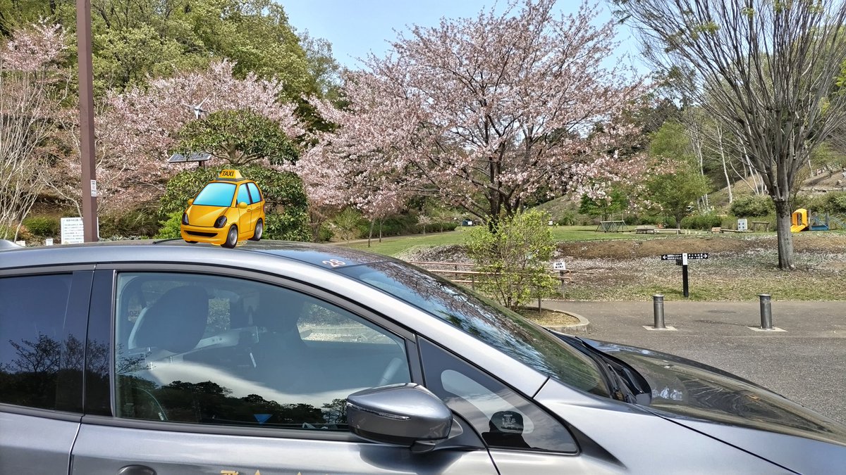 #bn847
【春満喫】
仕事柄、春の花が咲いているのを、車内からではありますが楽しめます☺️