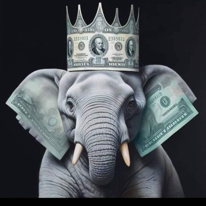 MaxSteller's tweet image. 