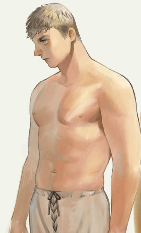 Looking at laios's fandom wiki page to check something, immediately getting distracted by image of him shirtless