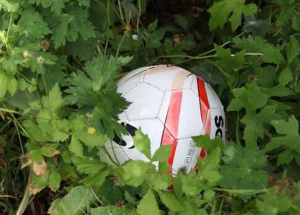 Sidy⚡️ tweet media