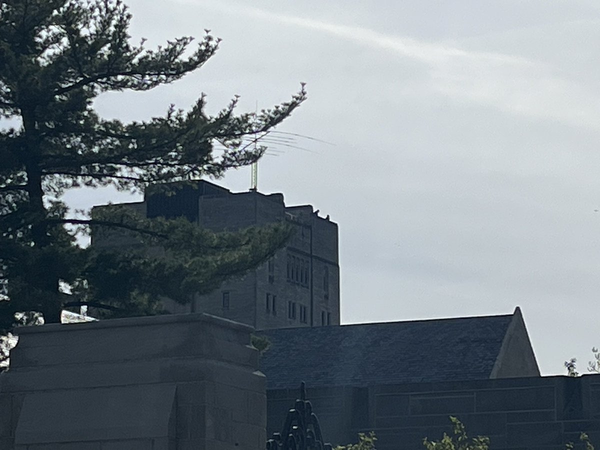 CombatPigeon96's tweet photo. There is a fucking sniper on the roof of the IMU overlooking the Palestine protest at IU. There is also a tactical helicopter.

What. 
The. 
Fuck. https://t.co/WBFjXE3K4H