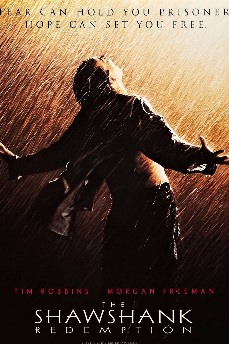 Movie Review # 1: The Shawshank Redemption (1994) For killing his wife and her boyfriend, Tim Robbins' character Andy Dufresne receives two consecutive life sentences in a harsh jail. But only Andy is aware that he is not a criminal. During his 19 years there, he contacts Red…