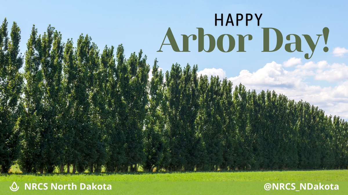 NRCS_NDakota's tweet image. Celebrate #ArborDay, today! Consider planting trees. #NRCS North Dakota can help you with selection and design for #windbreaks and #shelterbelts. Learn more at: tinyurl.com/5d9jzpbb
