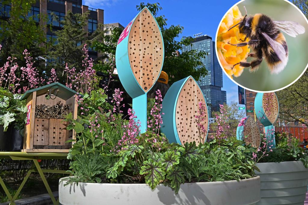 Honey, they’re home! ‘Bee hotels’ coming to 7 NYC plazas to help at-risk pollinators trib.al/1ja2r7A
