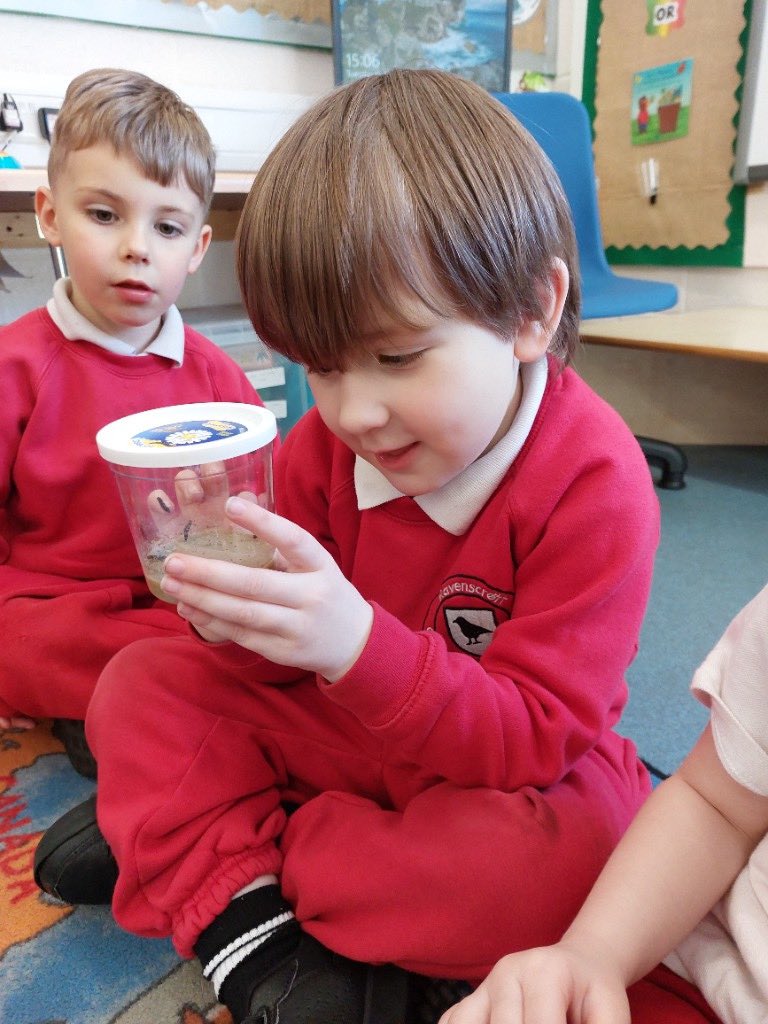 Ravenscroft Community Primary School tweet media