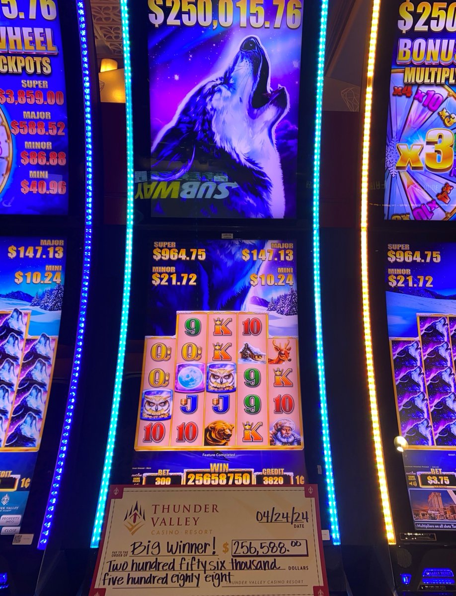 One lucky guest went home with a howling good $256,588 win on Timber Wolf Grand! 🎉🎰🐺💰