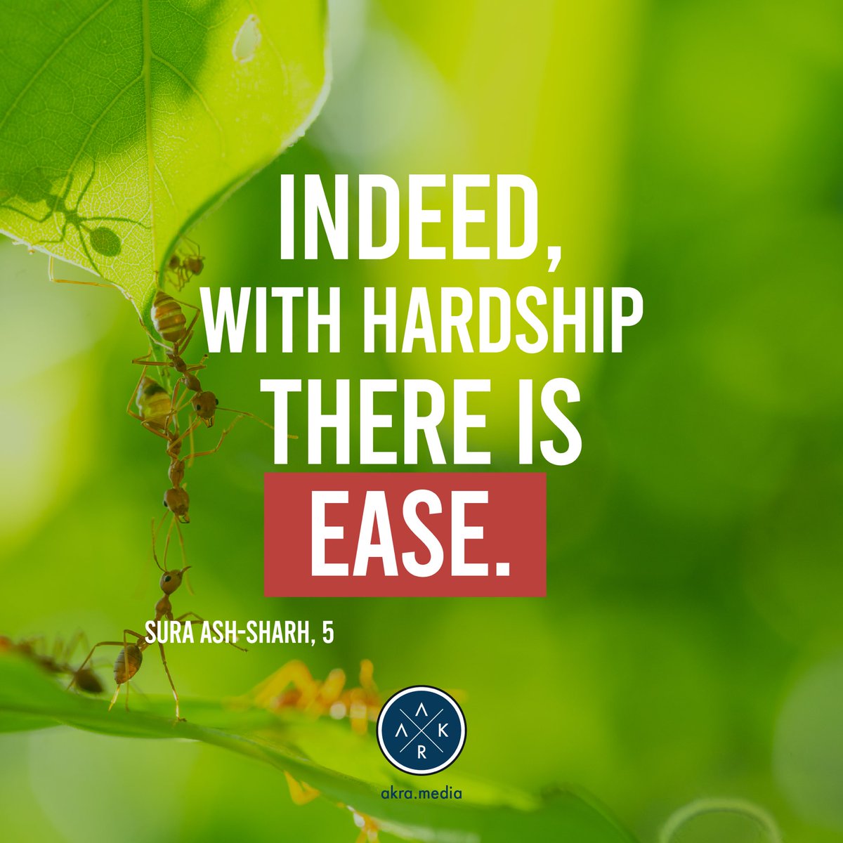 “Indeed, with hardship there is ease.”
Sura Ash-Sharh, 5

#thequran #suraashsharh #ashsharh #islam #islamicquotes #hardship #lifequotes #challenge #inspirationalquotes #innerpeace #faith