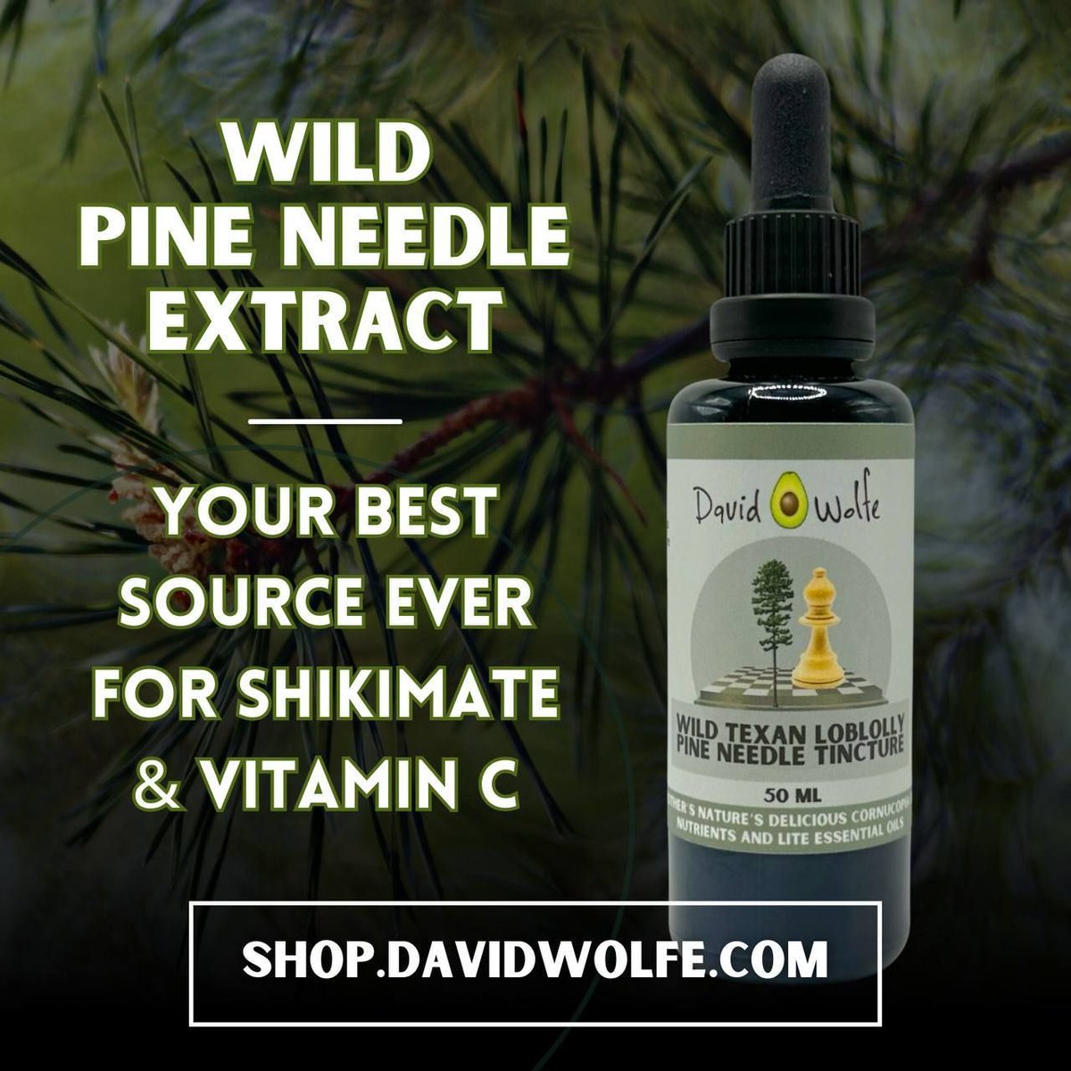 🌲Pine Needle Tincture 🌲 Pine needles are an excellent source of shikimate, vitamin C, minerals, trace minerals, protein and essential oils. Grab yours here 🌲👇🏽 bit.ly/PineNeedleTinc…