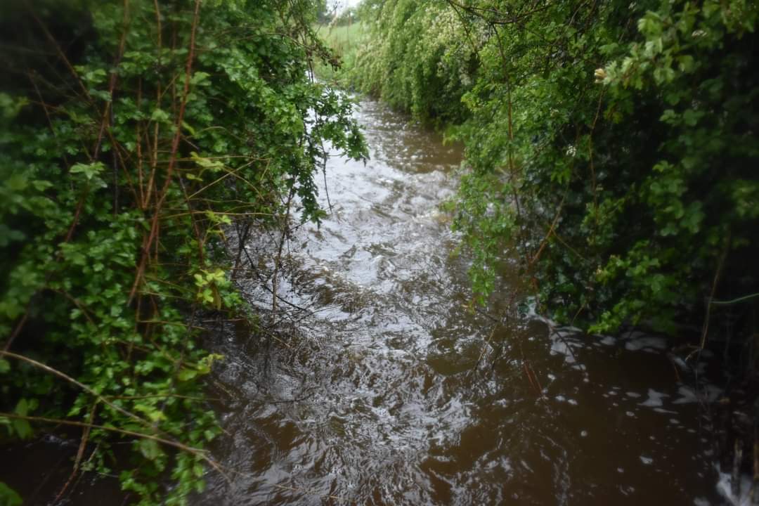 This #PoetryDayIRL I share a poem on #rivers of home and my little stream of home. These special places we treasure and must conserve. 🌊🏞🏡