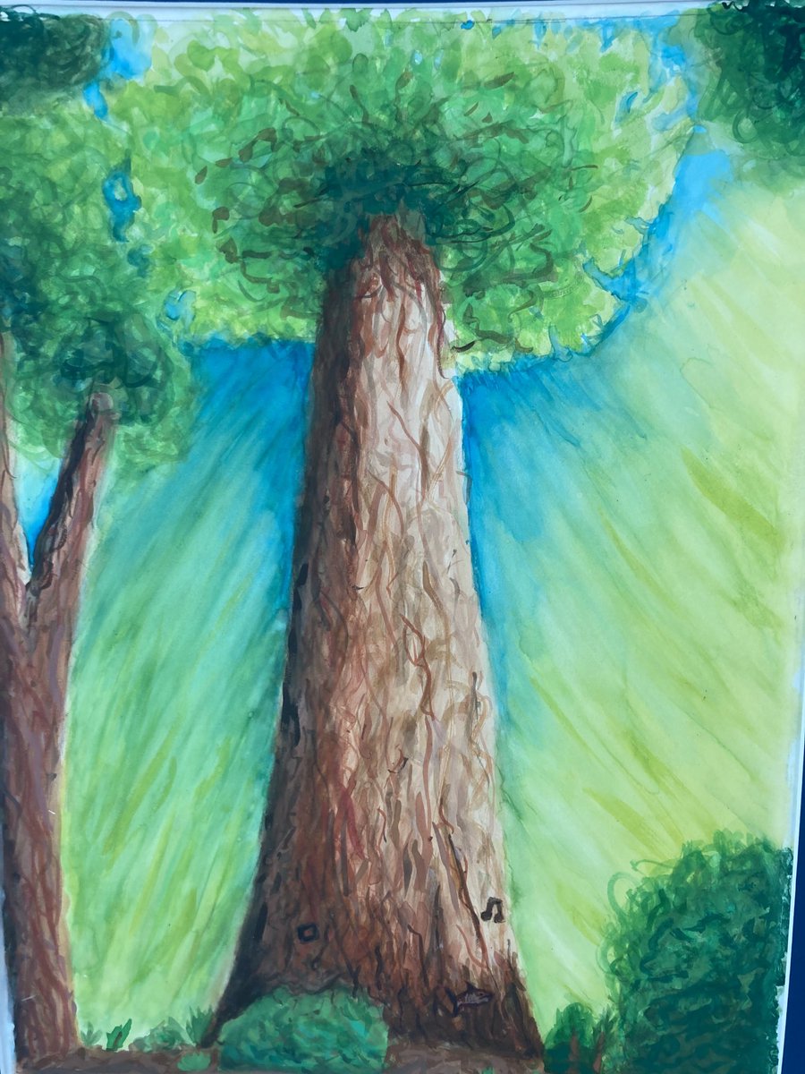 Senior Portfolio work is amazing !