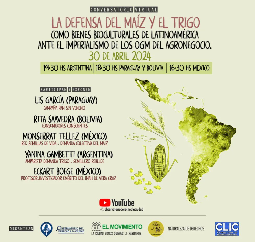 🌱 Acompáñanos en el Conversatorio Virtual:

'La Defensa del #Maíz y el #Trigo como Bienes Bioculturales de Latinoamérica ante el Imperialismo de los #OGM del Agronegocio'

🗓 Mar, abril 30, 2024
🇲🇽 4:30 pm | 🇧🇴🇵🇾 6:30 pm | 🇦🇷 7:30 pm
🔴 #EnVivo por youtube.com/@observatoriod…