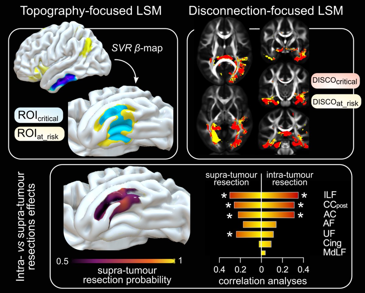 In a study involving 400 glioma patients, Ng et al. use multivariate lesion-symptom mapping to shed light on neurocognitive systems with limited compensatory potential, and to disentangle the effects of intra- vs supra-tumoural resections on cognition. tinyurl.com/2zbtsv4j