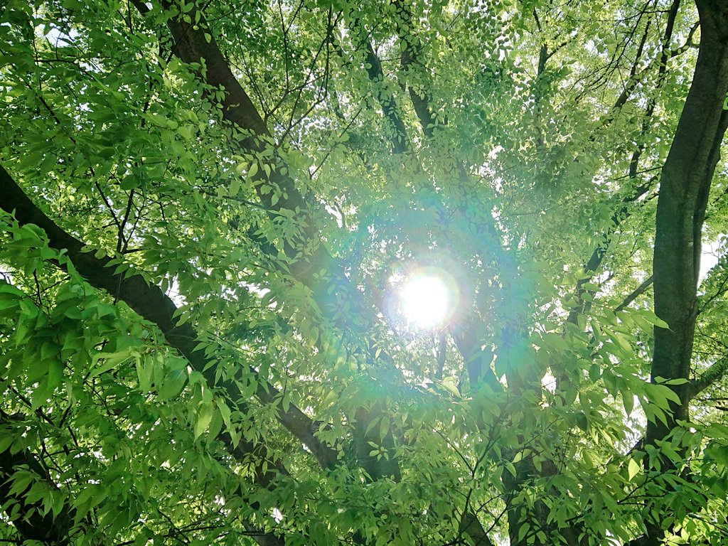 〈浄化〉 誰かの嫌な言葉や不快な態度に遭った時。 相手の言動ばかりに意識を向けず、自分の心を見つめてみる。 反発、非難、憤り… 毎度お決まりの不毛な反応。 それが自分を苦しめるのだ。 相手の世話を焼くのをやめ、ただ自分の心を明るく軽くしよう。 不快の度に、自分を浄め、健やかになる。