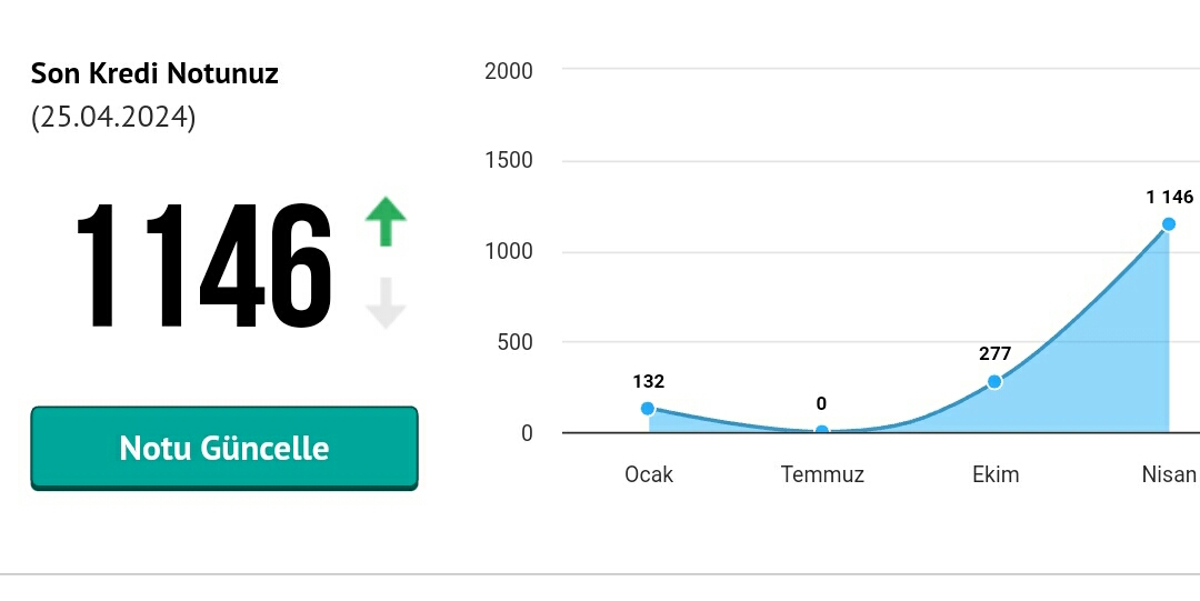 Arkadaşlar kredi skorum bu. Çıkar mı bana kredi? Bilgisi olan var mı?