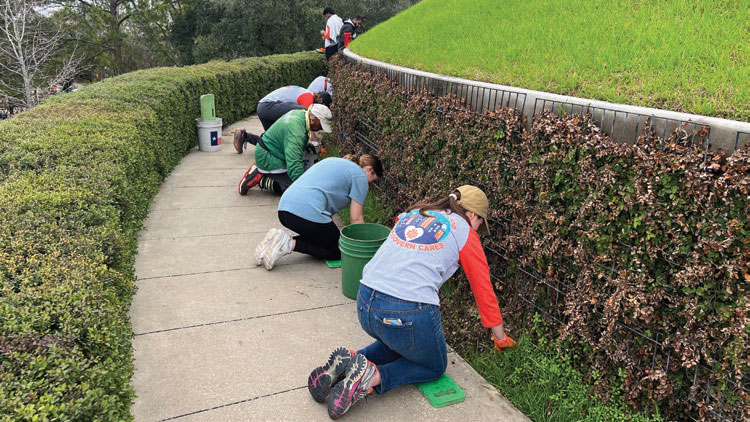 In honor of Kathrine McGovern, More than 150 McGovern Medical School students volunteered to assist with a variety of gardening projects at the McGovern Centennial Gardens in Hermann Park.