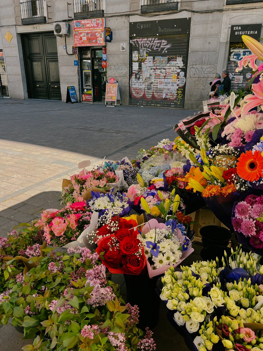 gutierrezjeca's tweet photo. caminar y encontrarse esto ✨ https://t.co/dtVULSI5FL