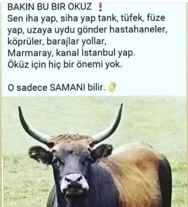 Nesrin (@yonca12341234) on Twitter photo 