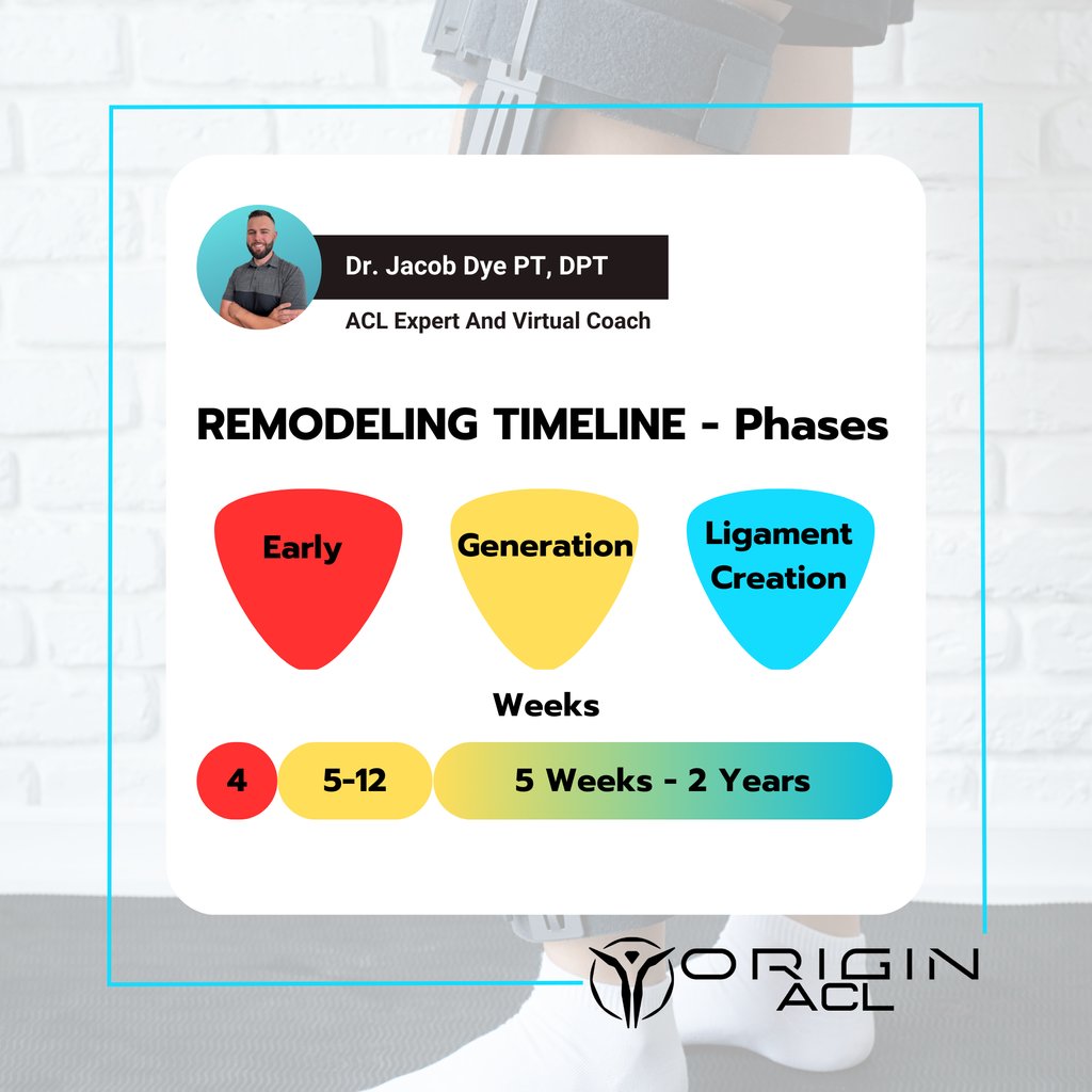 "The two most powerful warriors are patience and time."
 – Leo Tolstoy, War and Peace.

Although you cannot speed up the remodeling process, you can make a choice to have a high quality ACL recovery program, which can help protect the graft as it goes through this process.