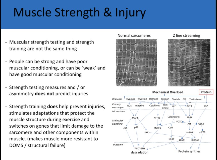 @ground_guru @DeasunO @anthonygordon @NUFC 2/3 - This is basically an overview of the above studies. Which show strength testing (asymmetry or higher maximal scores) does not necessarily predict or protect from injuries, however the process of strength training is protective and does seem to reduce injuries